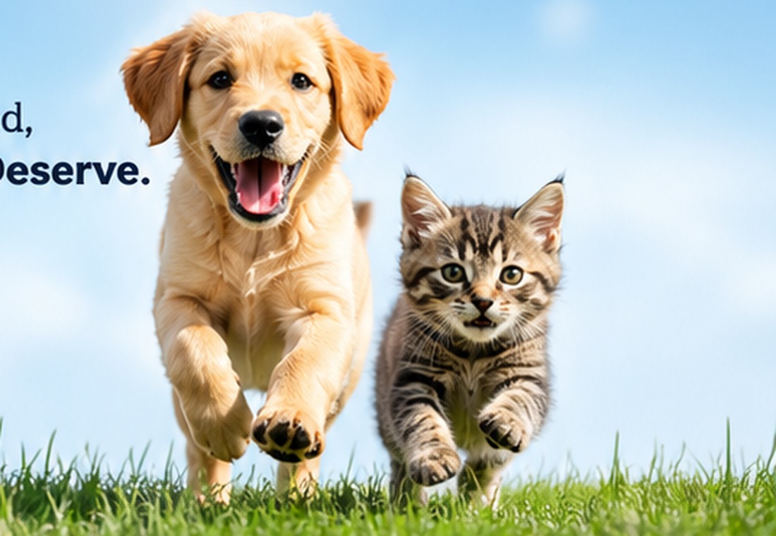 Happy dog and cat in a bright colorful pet store hero
