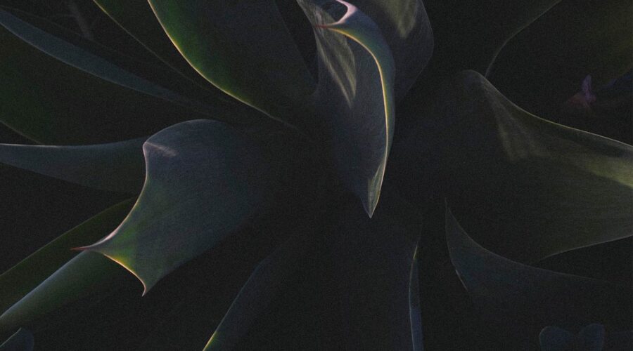 Great Things Happen Outside.