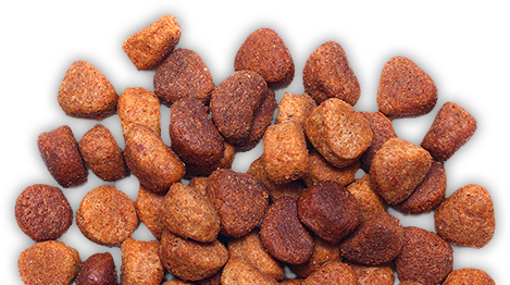 Dog food food-transparent-5