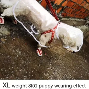 Transparent Waterproof Dog Raincoat, Raincoat for Small and Medium-Sized Dogs, Teddy and Bichon Frise Dog for Rainy Days Walking