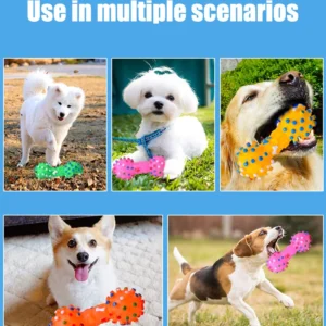 Dog Chew Toy Natural Rubber Safety and Environmental Protection Flexible Bite Resistance Clean Teeth