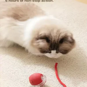 Intelligent interactive cat ball long-lasting and durable easy to clean intelligent obstacle avoidance pet dog toys