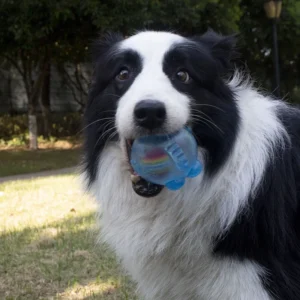 Dog Chewing Toy Training Sound Silicone Ball Simulated Fish Shape Dog Toy Interactive Cleaning Teeth Pet Accessories