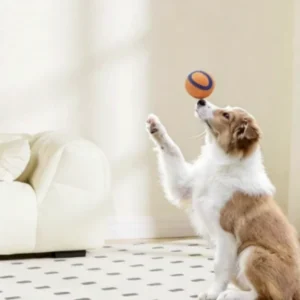 Tough Dog Toy Ball Chew Proof Elastic Jumping Fetch Ball for Large Medium Small Dogs Puppy Pet Chew Toy Solid Pet Accessories