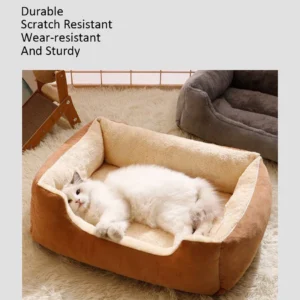 Bed for Cats Pet Products Cushions Kitten Goods Accessories Dog All Houses Supplies Things Accessory Habitats Basket House Beds