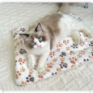 Flannel Pet Sleeping Mat Dog Bed Cat Litter Puppy Bed Dog Sofa Lovely Mattress Cushion for Small Large Dog Blanket For Winter