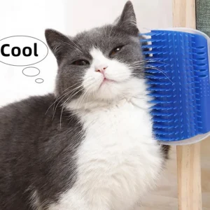 Massage Pet Cat Brush Corner Scrape Hair Removal Beauty Clean Corner Brush Removable Scratcher Comb for Kitten Cat