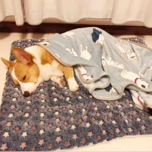 Flannel Pet Sleeping Mat Dog Bed Cat Litter Puppy Bed Dog Sofa Lovely Mattress Cushion for Small Large Dog Blanket For Winter