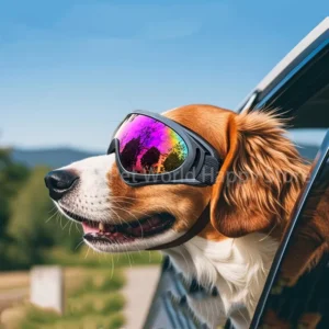 Dog Sunglasses Soft Adjustable UV Protection Pet Goggles Easy Wear Puppy Glasses For Small Medium Breed Outdoor Riding Driving