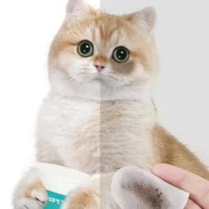 Pet Cleaning Products Eye Wipes To Remove Tear Marks Cleaning Wet Tissues Cat Wiping Eyes Removing Tear Marks and Cleaning Pet