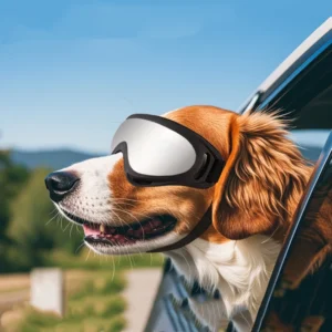 Dog Sunglasses Soft Adjustable UV Protection Pet Goggles Easy Wear Puppy Glasses For Small Medium Breed Outdoor Riding Driving
