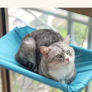 New pet cat hammock hanging cat bed bearing 20 kg comfortable sunny window seat kitten rock climbing frame pet supplies