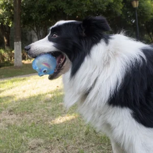 Dog Chewing Toy Training Sound Silicone Ball Simulated Fish Shape Dog Toy Interactive Cleaning Teeth Pet Accessories