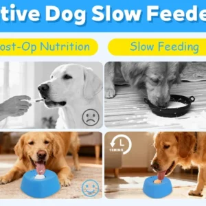 Anti-Choking Slow Feeder Dog Bowl Non-Slip 3/4 Cup - Lick Toy for Liquid Treats Bone Broth Yogurt