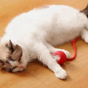Cat Interactive Ball Toys Automatic Rolling Ball For Kitten Rechargeable Smart Pet Electric Toys With Teaser Sensor Cat Ball Toy