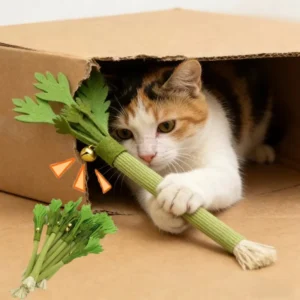 Cat Chew Toys Interactive Self High Catnip Molar Stick Bite With Bell Cats Toy Kitten Toy Natural Catnip Cat Teeth Cleaning Toy