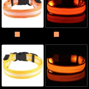 Nylon LED Night Safety Flashing Glow In The Dark Dog Leash Dogs Luminous Fluorescent Pet Dog Collar