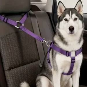 Car Dog Safety Belt Pet Leash Adjustable Durable Nylon Strap For Small Medium Dogs Anti Shock Vehicle Travel Seat Belt Lead