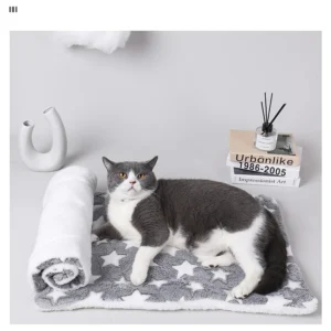 Flannel Pet Sleeping Mat Dog Bed Cat Litter Puppy Bed Dog Sofa Lovely Mattress Cushion for Small Large Dog Blanket For Winter