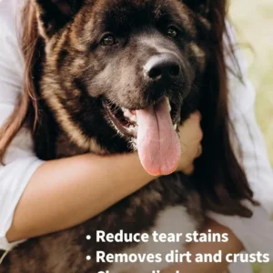 Pet Cleaning Products Eye Wipes To Remove Tear Marks Cleaning Wet Tissues Cat Wiping Eyes Removing Tear Marks and Cleaning Pet