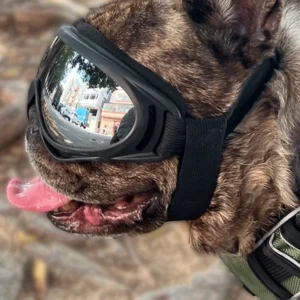 Dog Sunglasses Soft Adjustable UV Protection Pet Goggles Easy Wear Puppy Glasses For Small Medium Breed Outdoor Riding Driving
