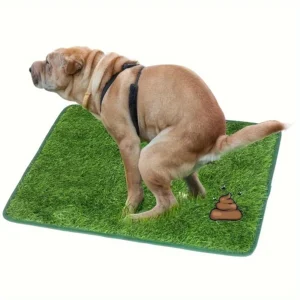 Ultimate Washable Dog Grass Mat - Reusable, Odor-Control Artificial Lawn for Pet Training, Easy-Clean Pee Pad Non-Slip Backing