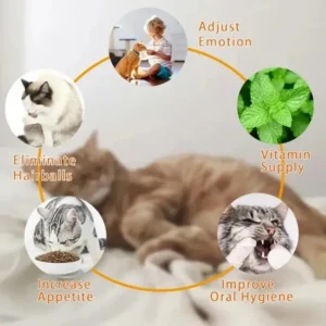 4 in 1 Rotating Catnip Silver Vine Ball Teeth Cleaning Acne Prevention Digestive Health Wall Stick on Toy Edible Safe Material